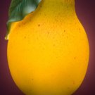 Pear Nightlight - Ibis & Orchid Designs