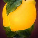 Lemons Nightlight - Ibis & Orchid Designs