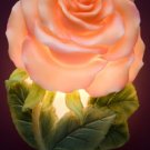 Apricot Rose Nightlight - Ibis & Orchid Designs