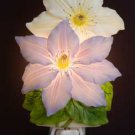 Clematis Nightlight - Ibis & Orchid Designs