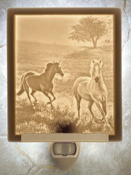 Capitol USA Flat Lithophane Nightlight