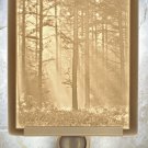 Woodland Sunbeams Flat Lithophane Nightlight