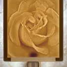 Rose Petals Flat Lithophane Nightlight