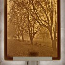 Misty Meadows Flat Lithophane Nightlight