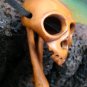 ALIEN SKULL & BONE CARVED KOA WOOD SKELETON MINIATURE  FREE GIFTS & USA SHIPPING