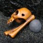 ALIEN SKULL & BONE CARVED KOA WOOD SKELETON MINIATURE  FREE GIFTS & USA SHIPPING