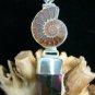 FOSSIL AMMONITE SHELL & NATURAL RAINBOW CRYSTAL STERLING SILVER PENDANT