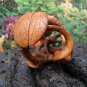 GARDEN DRAGONFLY CARVED WOOD MINIATURE ORNAMENT 2in FREE SATIN RIBBON, GIFT BOX, SILK POUCH