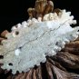 2 HAWAII SEA TURTLE CARVED ANTIQUE ANTLER TOTEM / CARVING / PENDANT  FREE GIFTS!