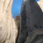 Fossil 4 3/4" Huge Black " Megalodon Shark " Tooth - 121mm - attractive Wood display Stand included