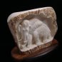 Mammoth, Mastodon Large Hand Carved Real Moose Antler -Wood Stand - Made in Alaska
